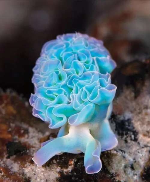 Is it my tension? by RabbitInAFoxMask