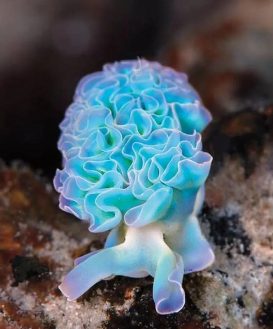 Is it my tension? posted by RabbitInAFoxMask