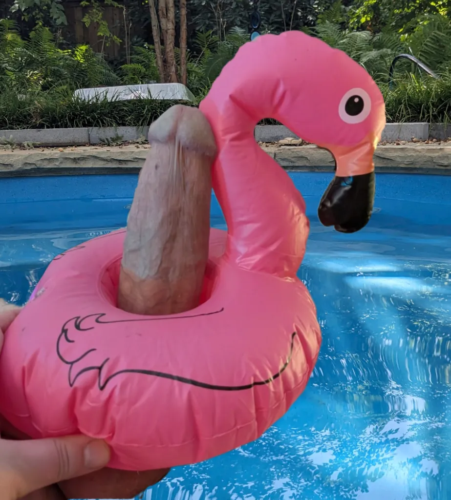 is it summer yet posted by MyHusbandsHog