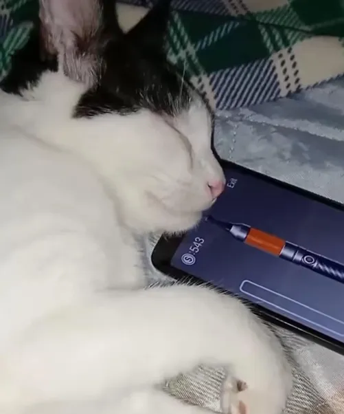 Is my homies oil good or is he cooked? Looks too orange by Sufficient_Option_56