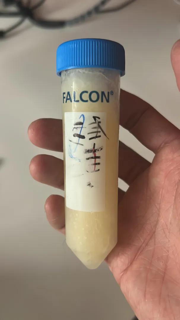 Is saving up frozen cum loads to shove up my guy’s hole considered kink? posted by LowKeyEcho