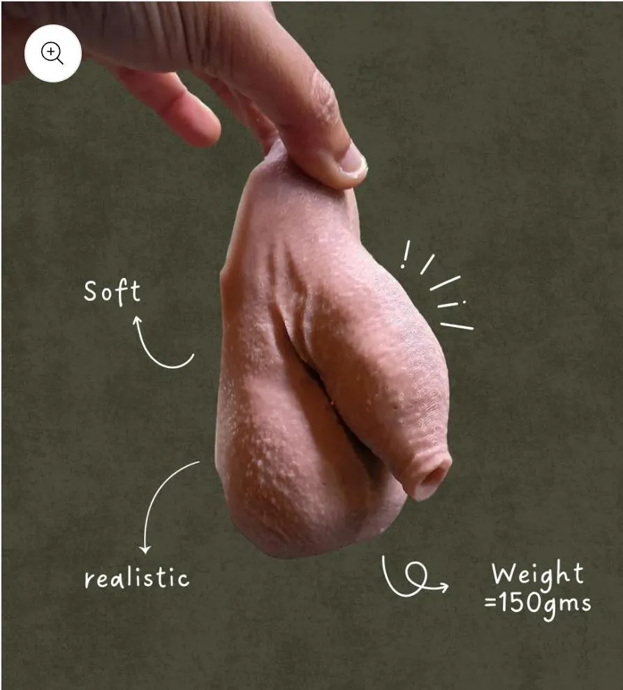 Is this a good choice? posted by Common_Major7783