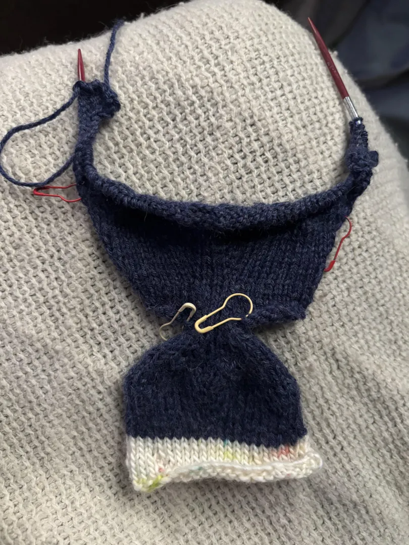 Is this where I share my taxidermy project? posted by MayaAlex