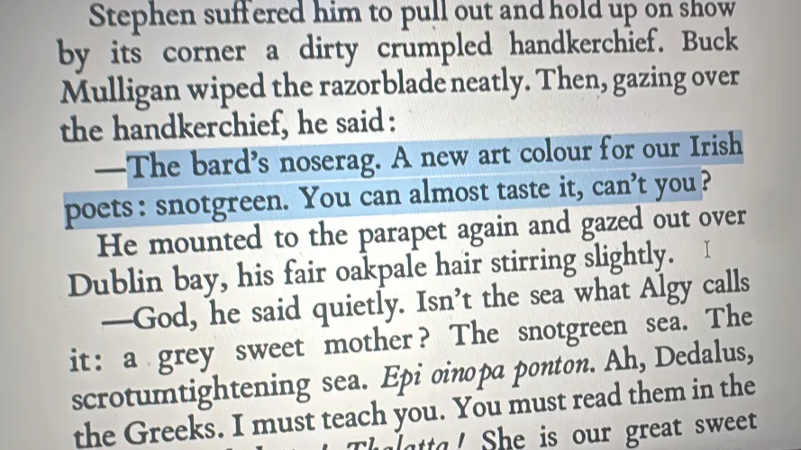 Is Ulysses supposed to be funny ? by emfocipe