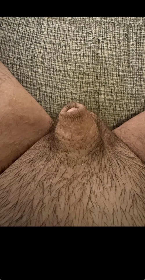 It gets a lot bigger I swear by Low-Telephone-4558