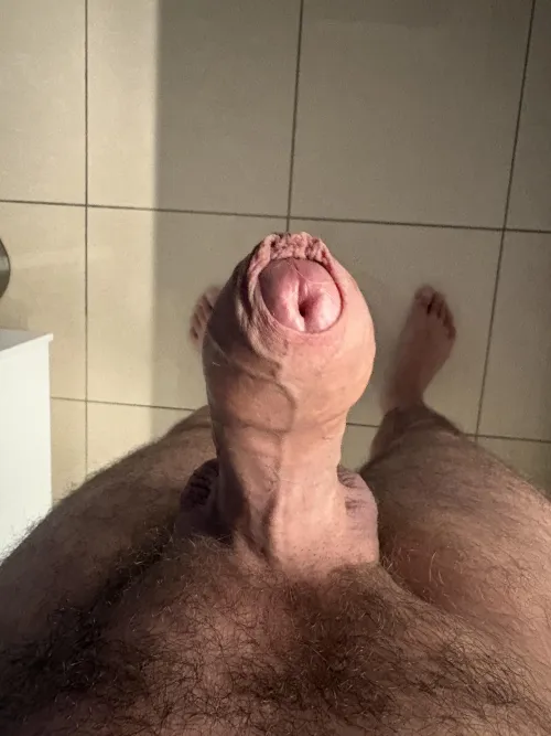 It makes you want ? (50) by DVB75