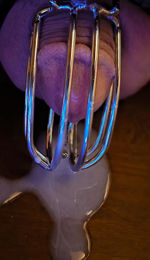 It never even tried to get hard before cumming.....1 yr. In a nub is my sentence. by LifeInChastity