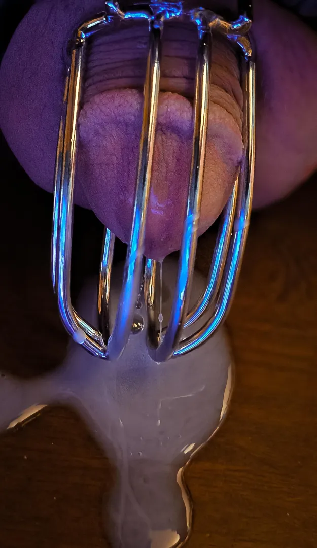 It never even tried to get hard before cumming.....1 yr. In a nub is my sentence. posted by LifeInChastity