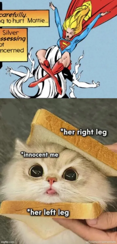 It should have been me, not her! by MaetelofLaMetal