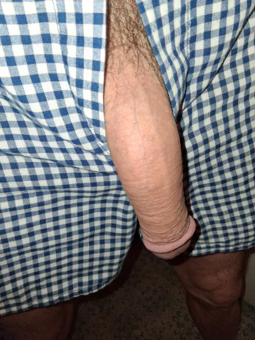 It slipped out(55) by EnvironmentalPrize12