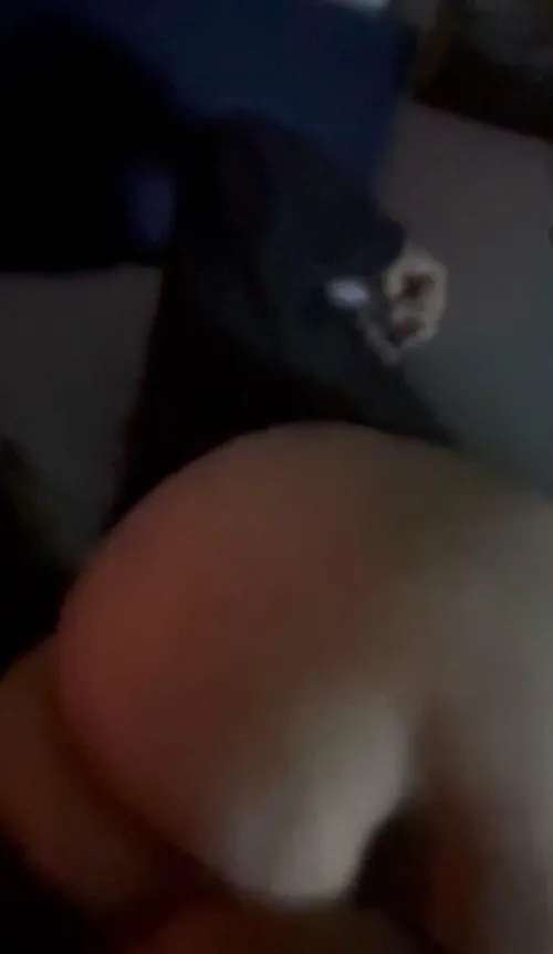 It was a vid that’s why it looks blurry  by nunofyabuiz