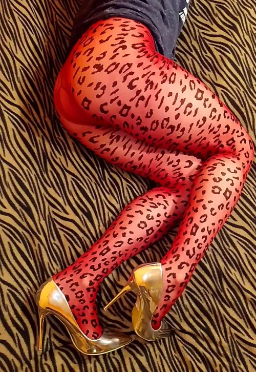 Italian pantyhose by SympathyBig4207