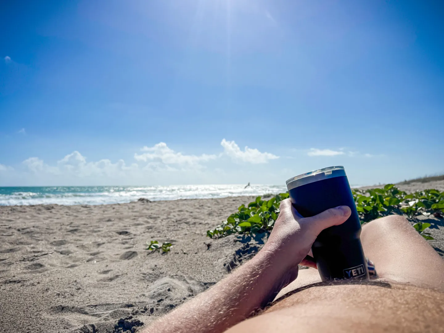 It’s a beautiful day in the sand!! Watch out for man-o-war though.  posted by CagedExhibitionist