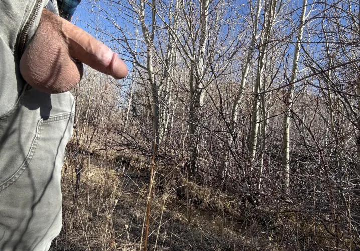 Its a good day for a Montana hike by WeekOutrageous8460