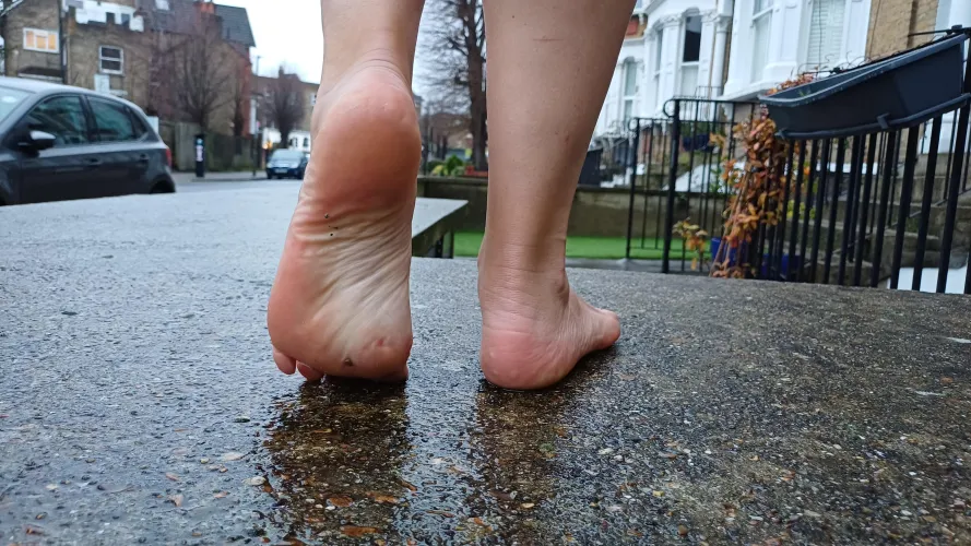 It's a nice day for a walk... by LadyoftheSteps