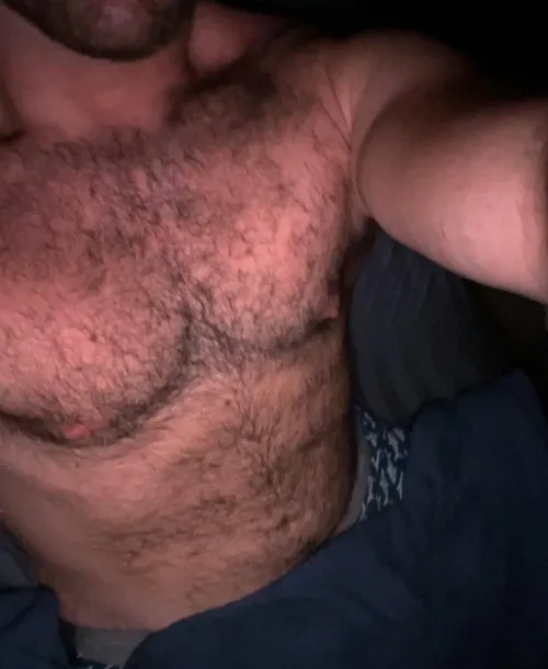 It's a stay in bed all day kinda day by TerryTbird