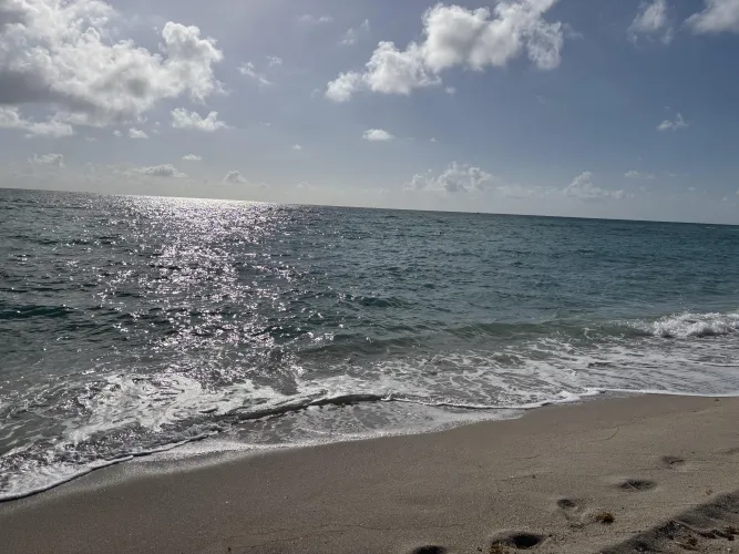 It’s a sunny day ☀️ by funcplsouthflorida