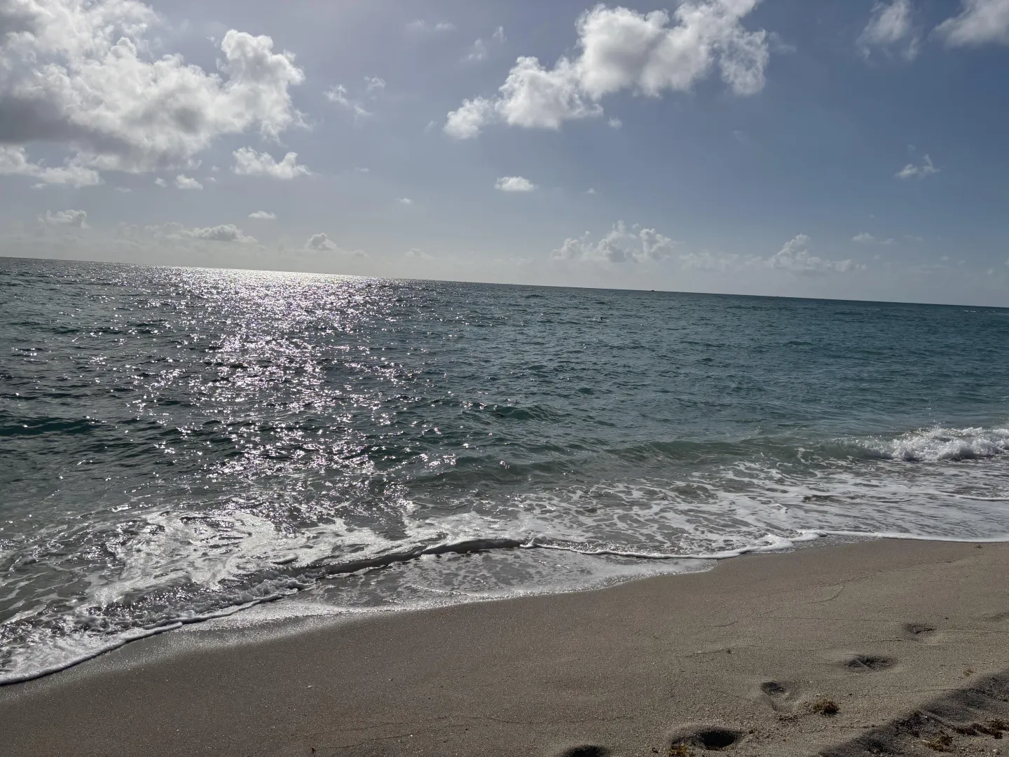 It’s a sunny day ☀️ posted by funcplsouthflorida