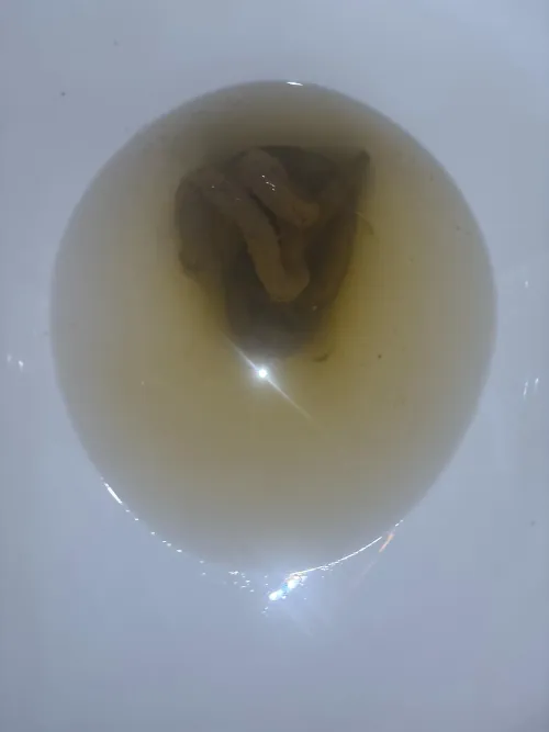 It’s been a while by Inbased_