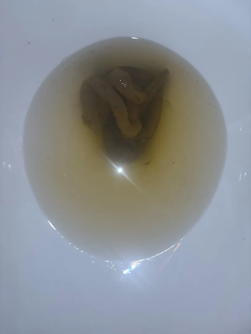 It’s been a while posted by Inbased_