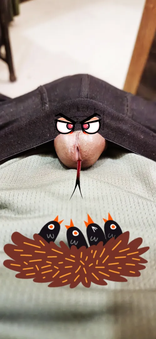 It's mostly just a doodle, but I still wanted to share it, even if it violates Rule 5. posted by Dry-Reindeer-3057