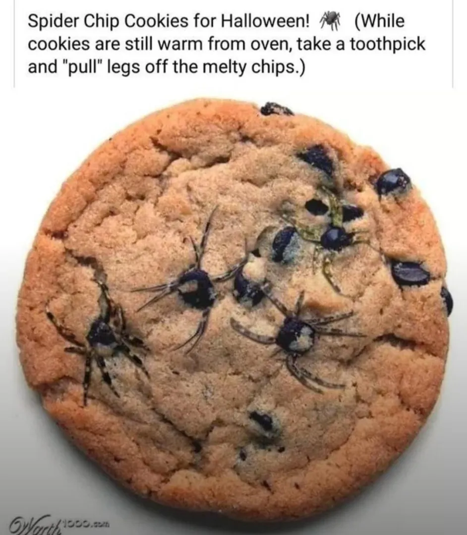 It's not Halloween, but come on this is genius!! posted by andtbhidgaf