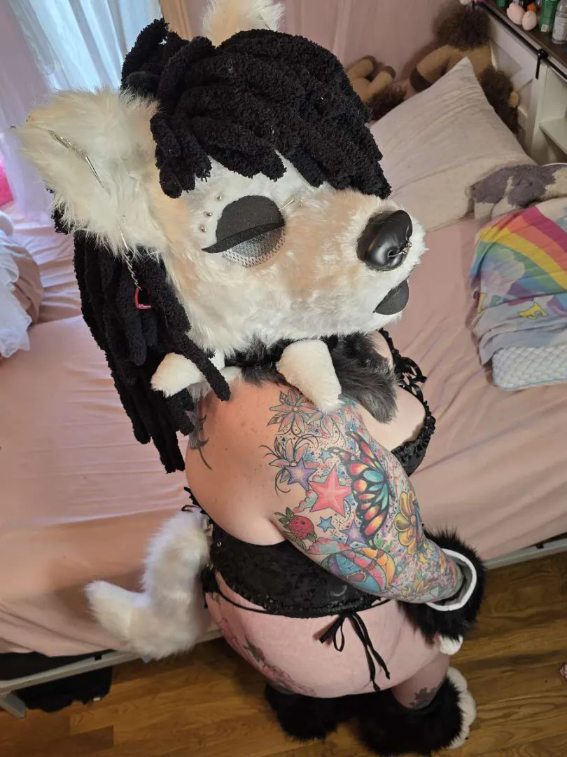 I've been a good pup I promise  posted by Samara_Pup