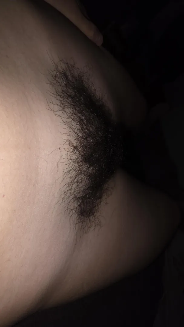 I’ve been growing my hairy pussy for some time now, what do you think posted by Cass_theboss_99