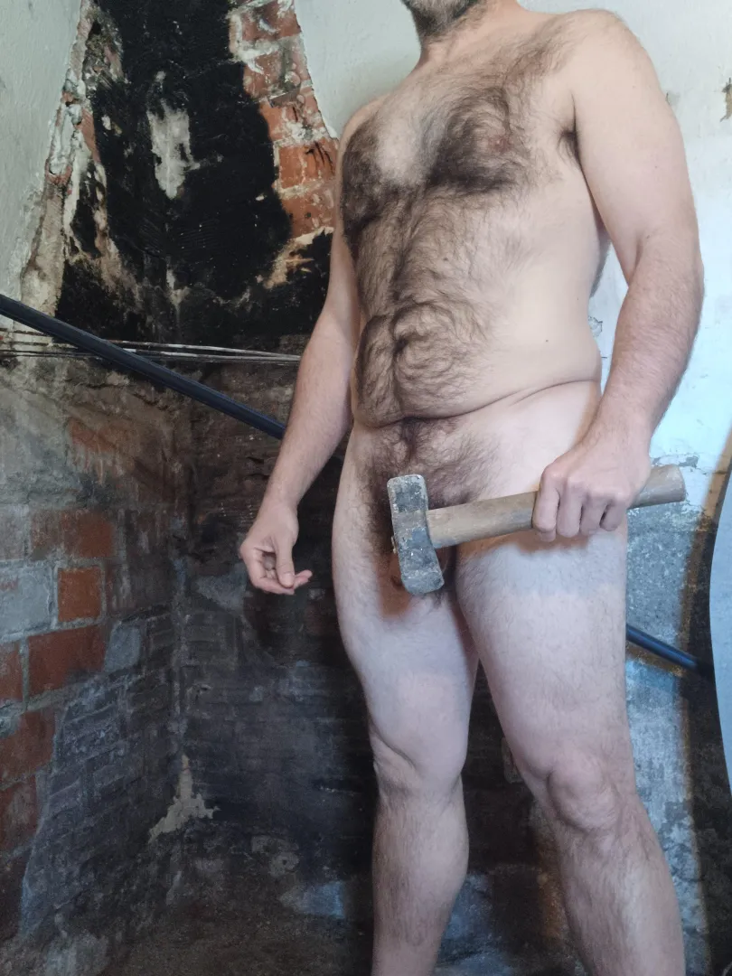 I've finished demolishing the chimney posted by vhaldeface