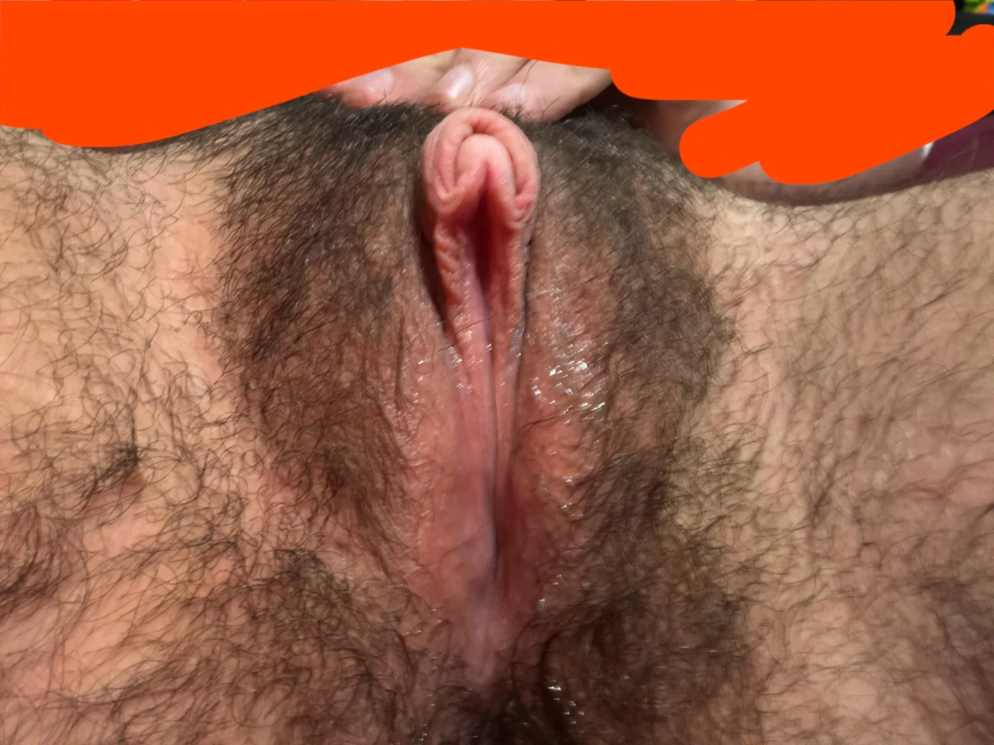 i’ve never needed to be breaded more than right now posted by Dry_Beat_1345