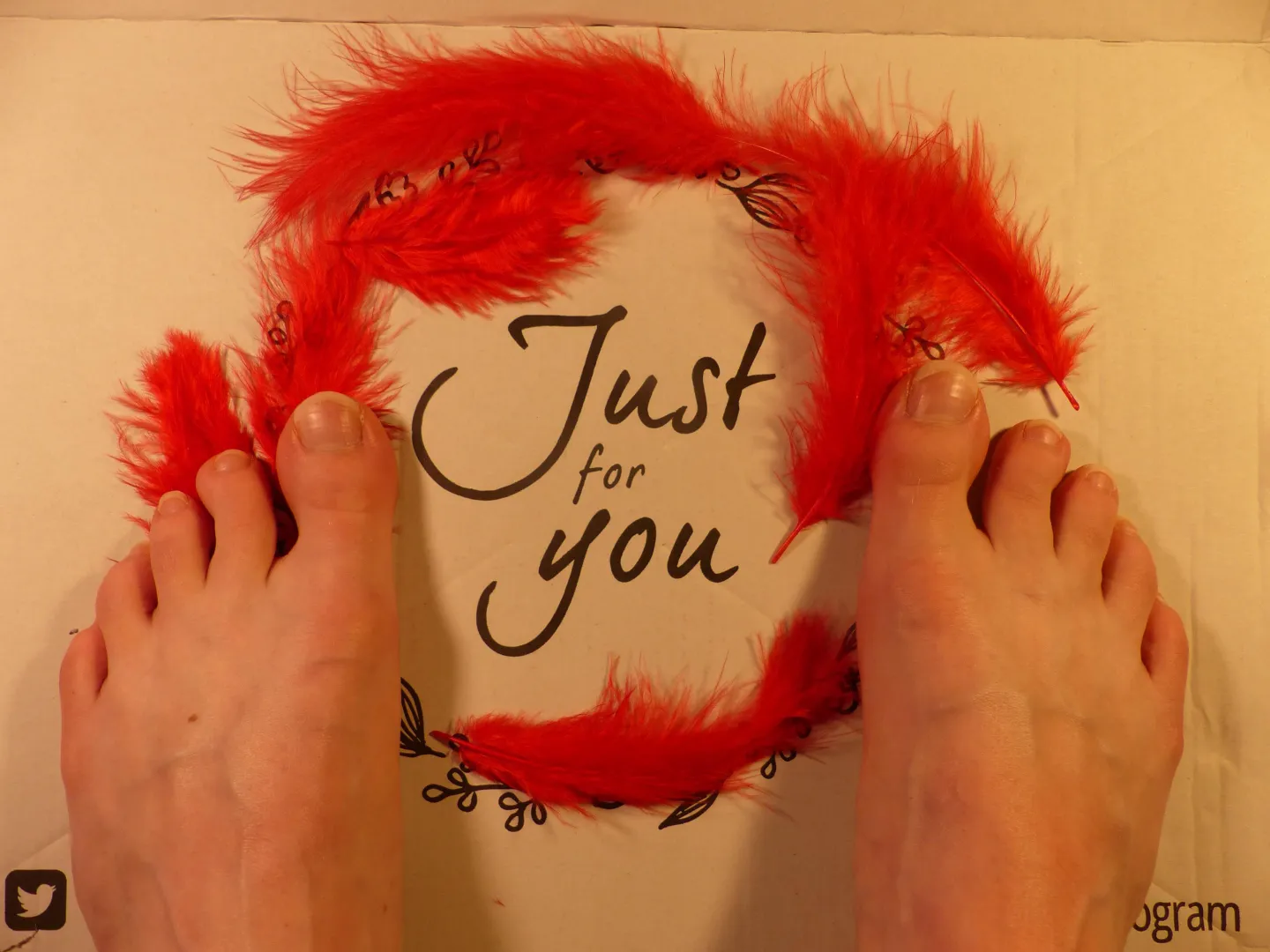 J-2 avant la St Valentin posted by Suzanne_Tamara4feet