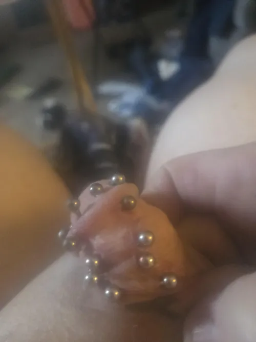 Jacob's ladder. Eight penis piercings so far by SkycladGourmet