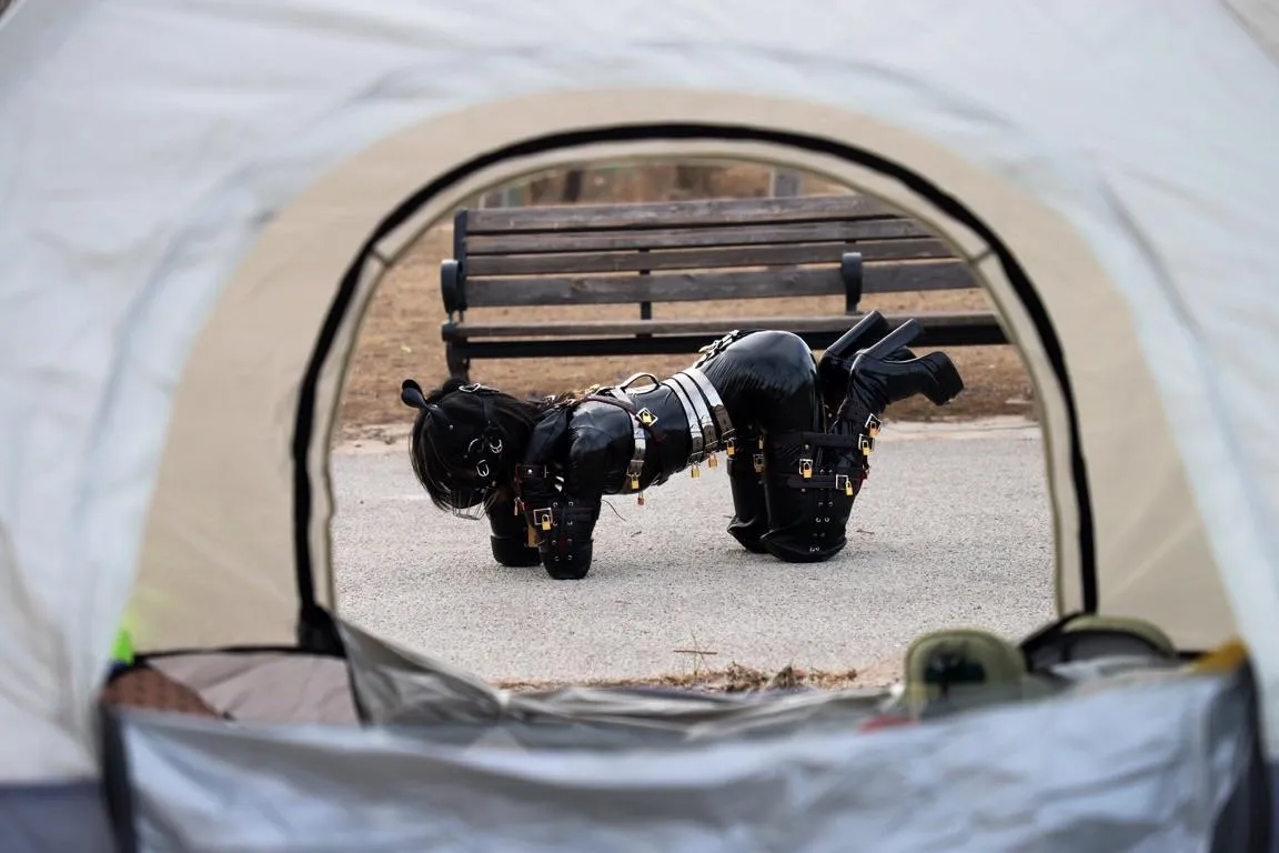 Japanese Bitchsuit posted by Embarrassed-Nail4136