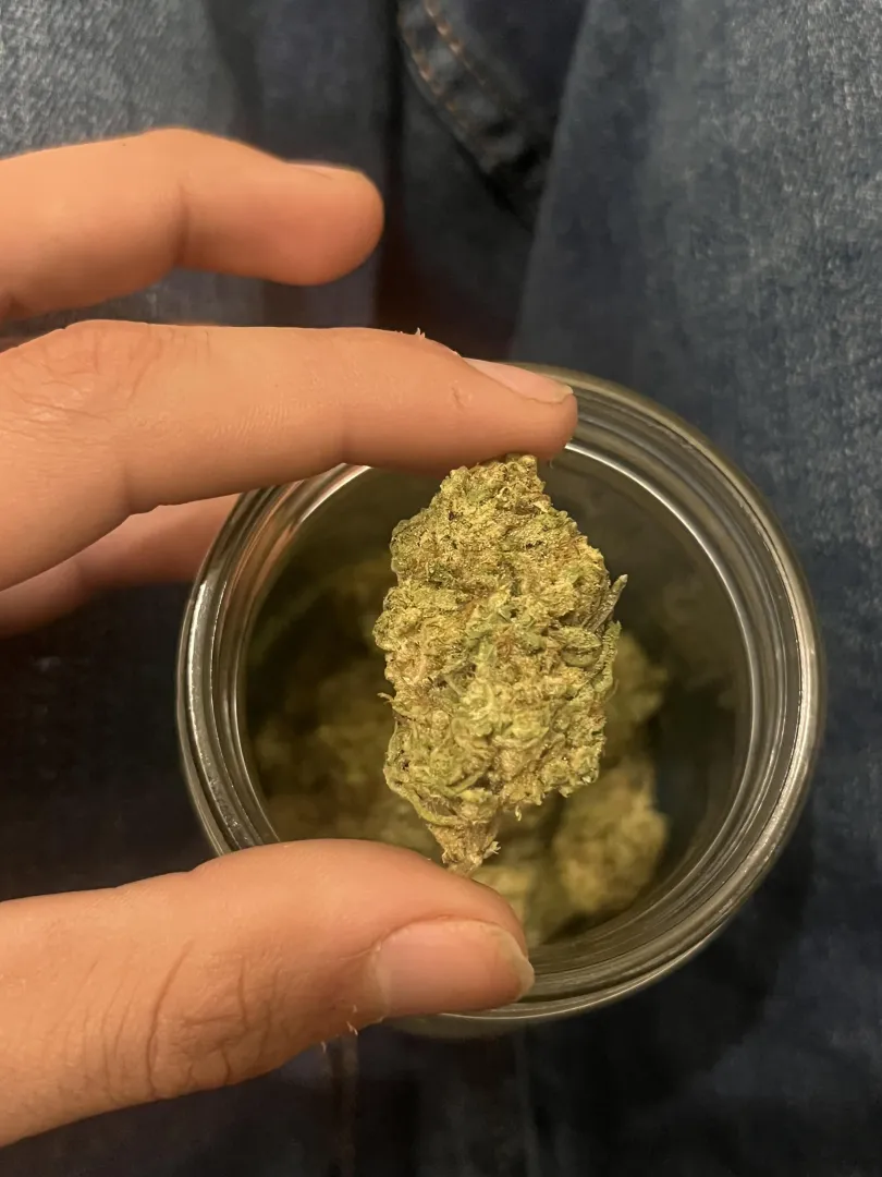 Jk distro-OZ kush back posted by KnownSalad8189