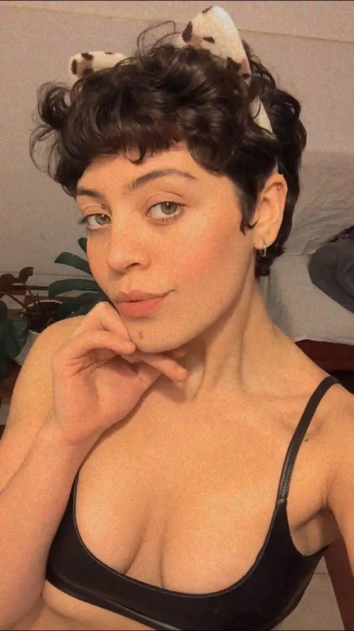 just a curious kitty by Noodlekinss