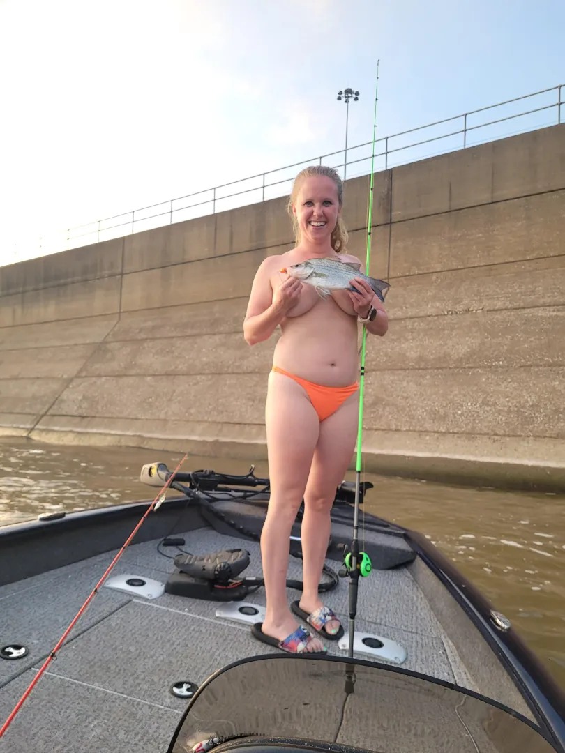 Just a cute little guy.  posted by FishinFools812