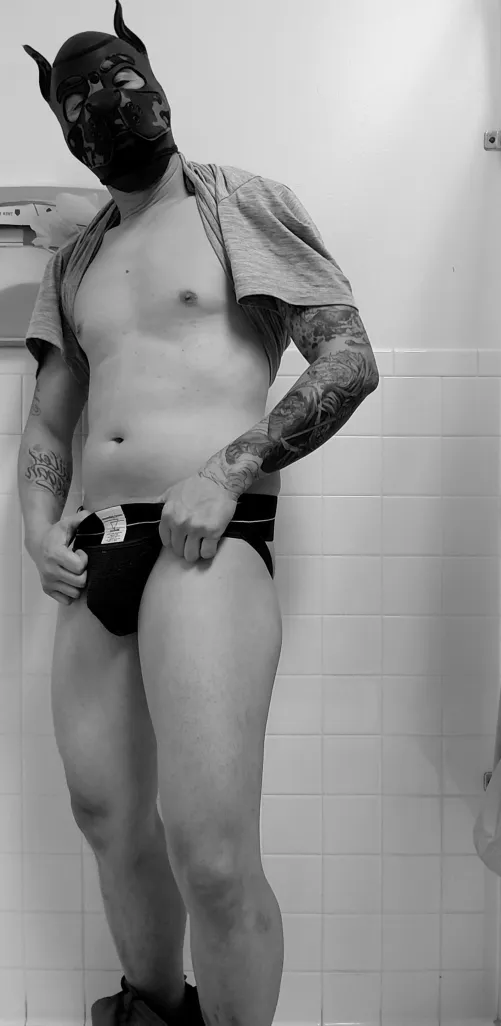 Just a dog.... by Opening-Cobbler-4640