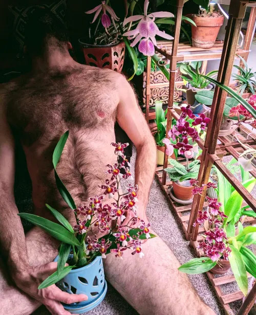 Just a guy and his plants... by ButterscotchOk5247