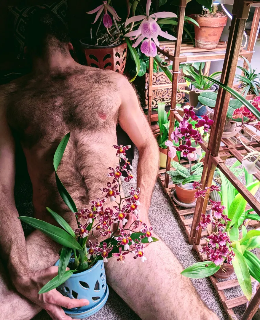 Just a guy and his plants... posted by ButterscotchOk5247