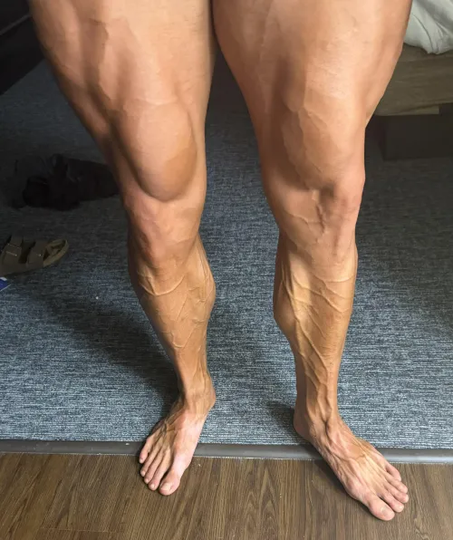 Just a light flex but they loud by WolfWilloww