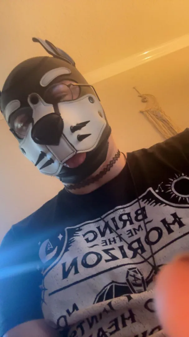 Just a pupper vibing the day away Arf!☺️ posted by OnyxPup2000