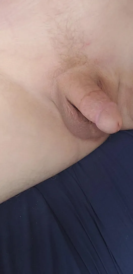 Just a trimmed cut cock posted by jaketx38