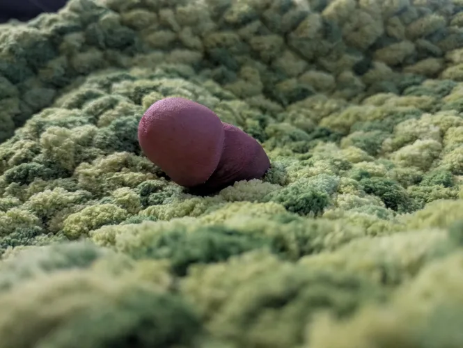 Just a worm in a field of moss by SexyWarlock