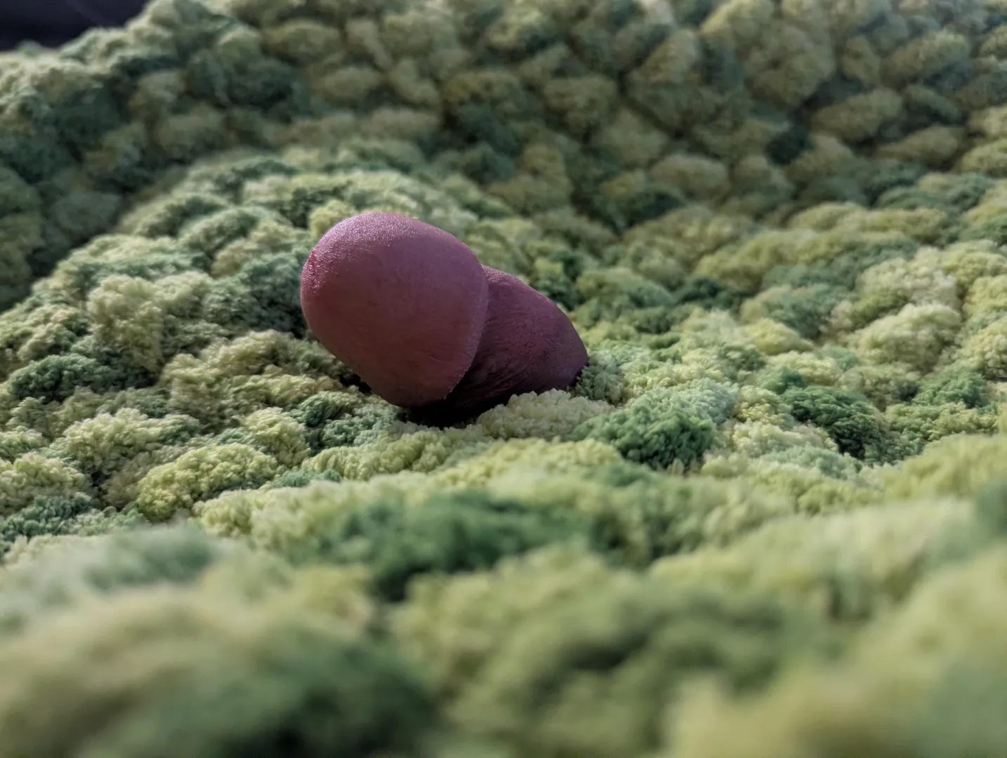 Just a worm in a field of moss posted by SexyWarlock