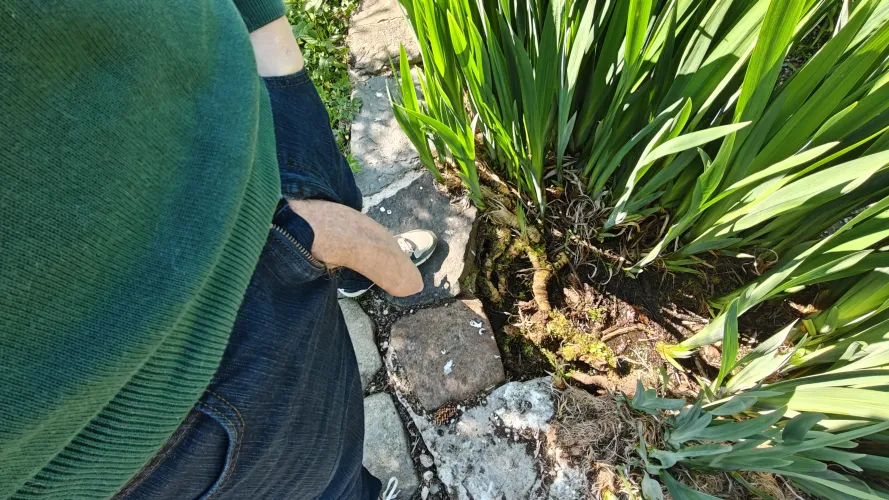 Just airing it out in the sun by Frequent-Dong284