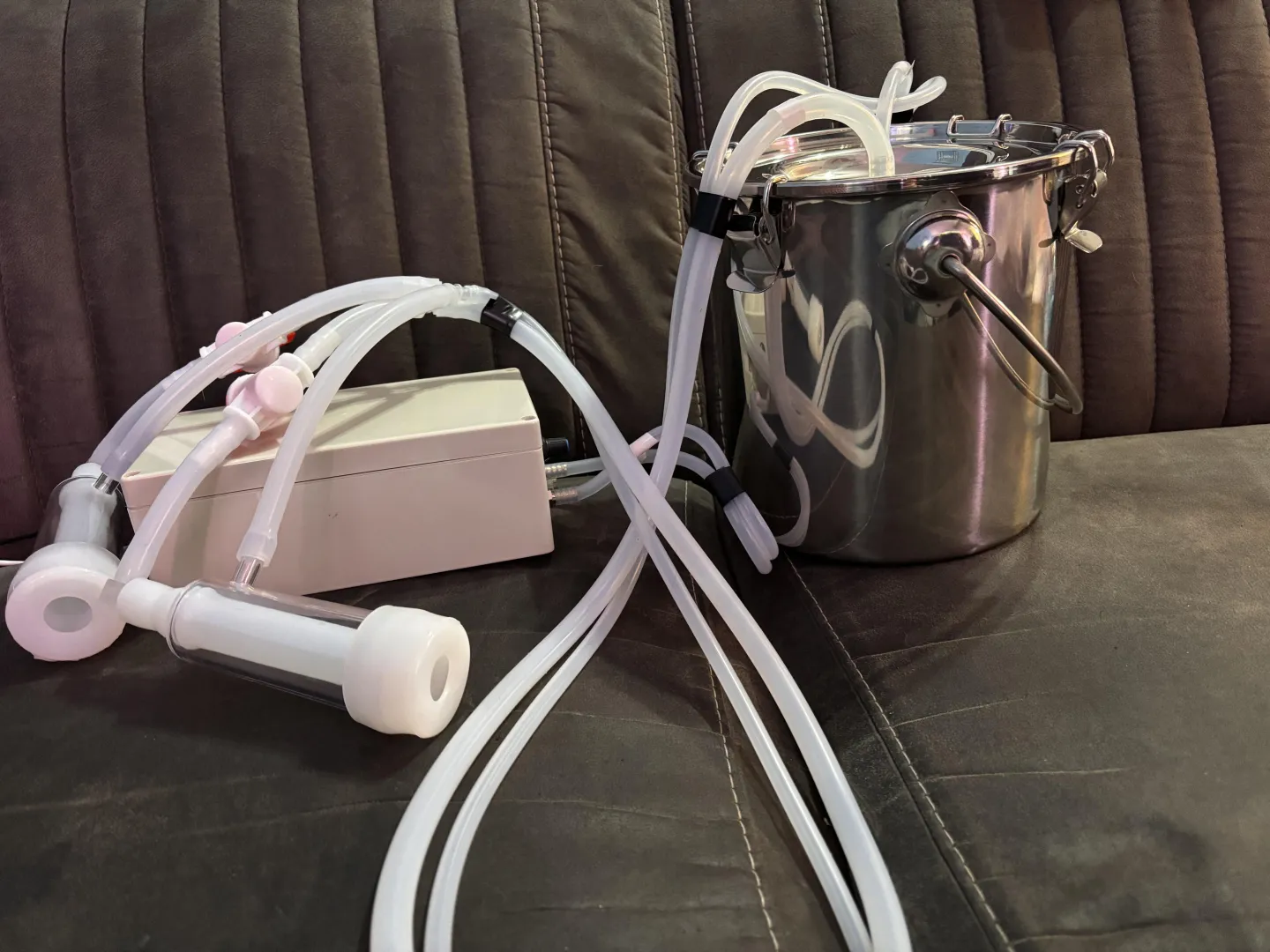 Just got milkmachine in. Ready to start  posted by IlseManders