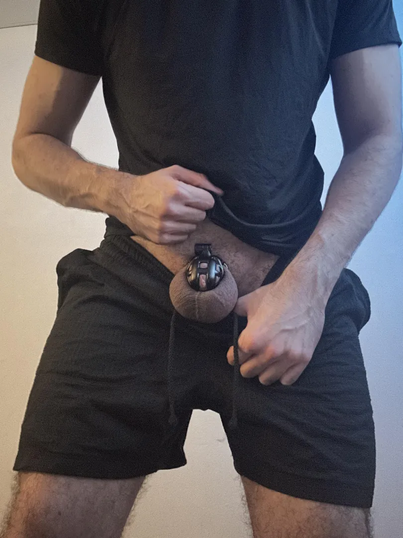 Just hit 10 months locked  Honestly it feels like my dick is straining less and less nowadays. I don’t think I can go back to working out unlocked now posted by PlasticRole818