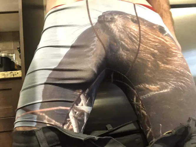 Just needs to find a beaver? by LastCalligrapher6071