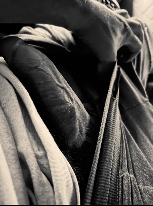 Just relieving pressures…. by Present_Lecture7178