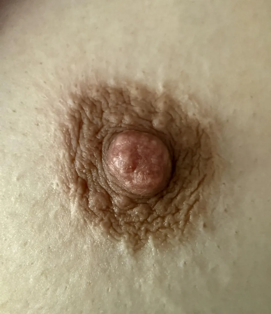 Just the nip! posted by Due-Philosopher3098